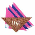 Dye Sublimated Triangle Pet Scarf