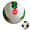 Custom Budget Professional Soccer Ball Standard Size 5